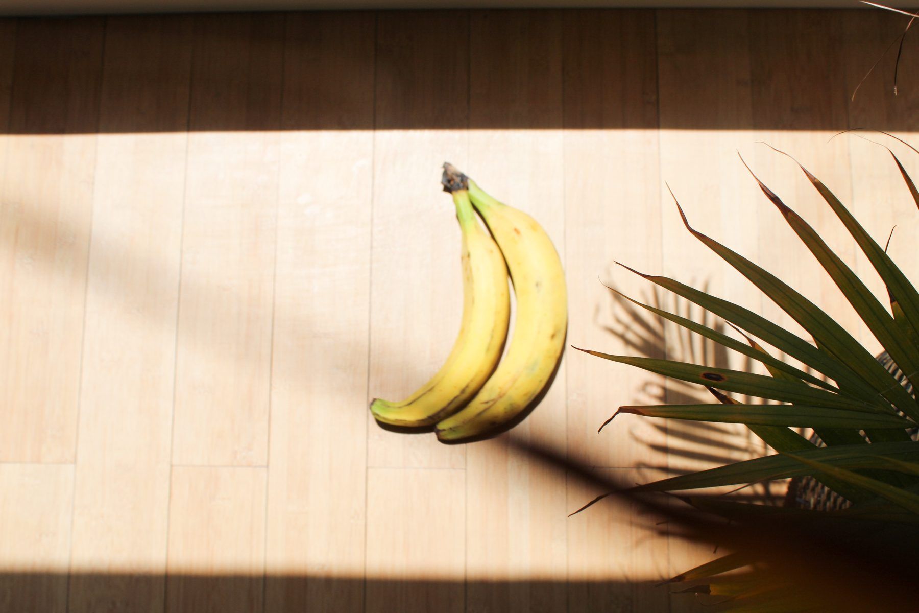Un plátano maduro bañado por la luz de la tarde junto a una hoja de palma